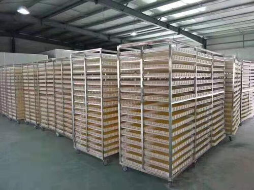 休寧縣新款惠誠食品烘干機(jī)廠家 礦山與建筑設(shè)備倉儲的高效解決方案