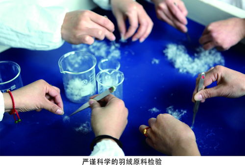 有一種溫暖叫羽絨,有一種羽絨叫東隆