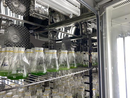 新知 細(xì)胞工廠,萬物皆可 造 揭秘神奇的 微生物打工仔