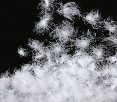 專(zhuān)家教你如何辨別羽絨和羽絨棉