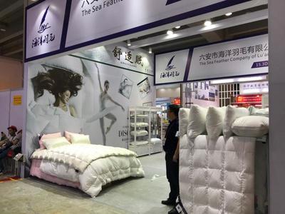 六安海洋羽毛:圍繞專精特新做強 帶動農(nóng)民致富