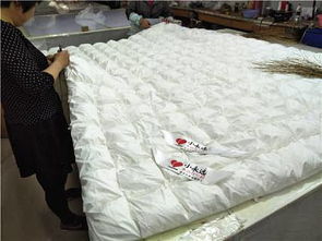 淮安市淮安區鑫豐羽絨制品廠 最新市場供求動態與產業前景分析